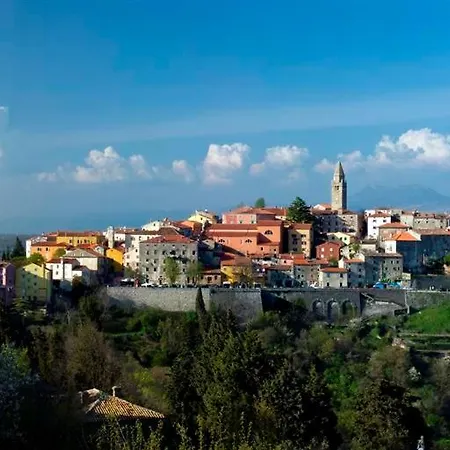Pisurinka * Nedeščina